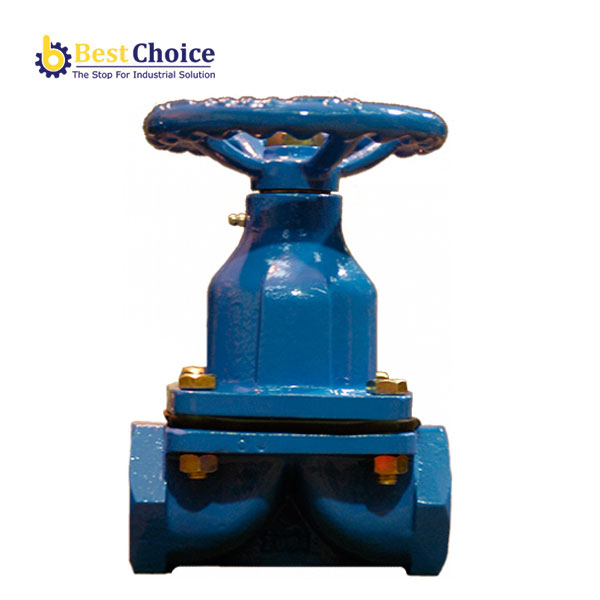 T99 – THREADED WEIR MODEL