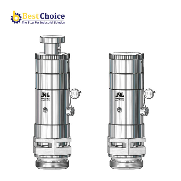 Type 6  Safety-Valve