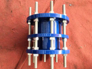 C2F type dismantling joint-5