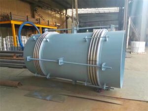 Welded bellows pump connectors-2