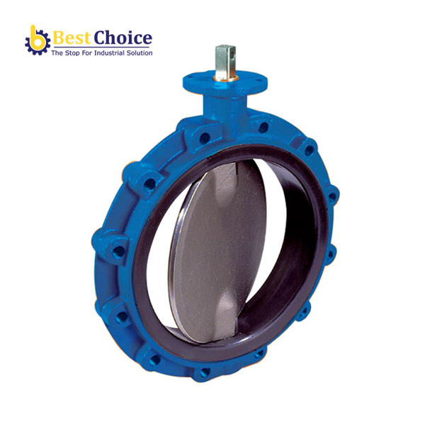 AVK VAN BƯỚM ĐỒNG TÂM KIỂU LUG, PN10 PN16, 41-020